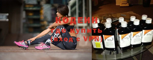 прущие грибы Бородино