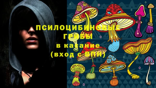 трава Беломорск
