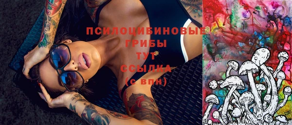 эйфоретик Белокуриха