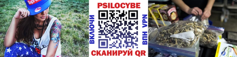 Псилоцибиновые грибы GOLDEN TEACHER  Горно-Алтайск 