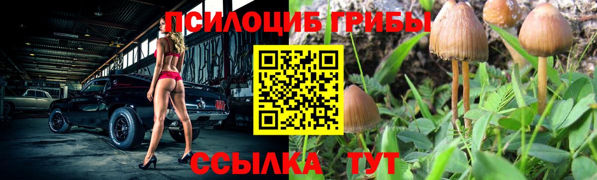 Галлюциногенные грибы GOLDEN TEACHER Горно-Алтайск