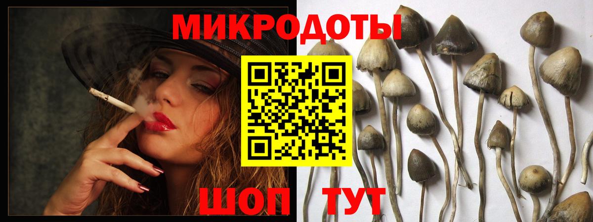 сколько стоит  Псилоцибиновые грибы GOLDEN TEACHER  Вход с VPN  Горно-Алтайск 